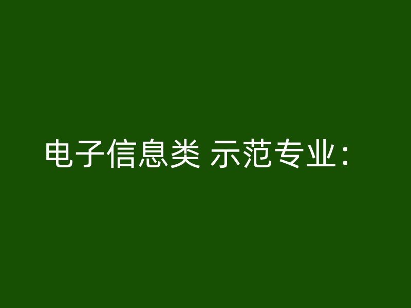 电子信息类 示范专业：