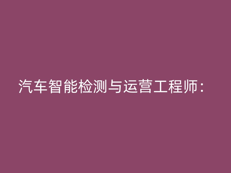 汽车智能检测与运营工程师：