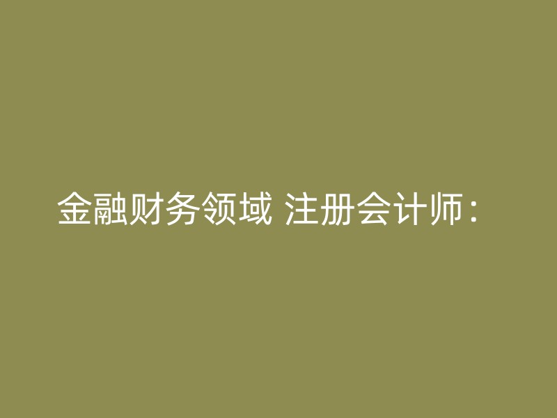 金融财务领域 注册会计师：