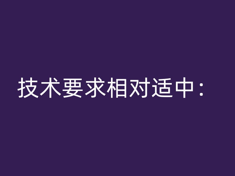 技术要求相对适中：