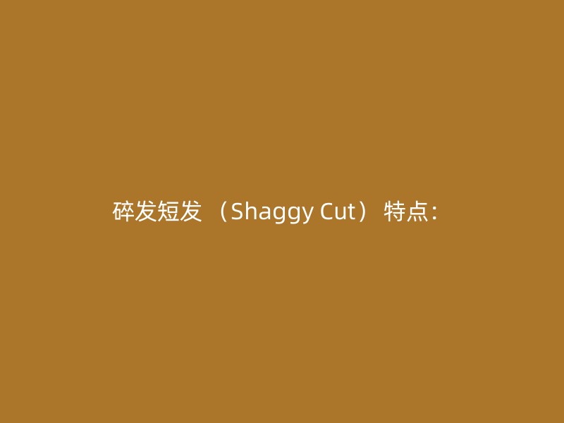 碎发短发 （Shaggy Cut） 特点：