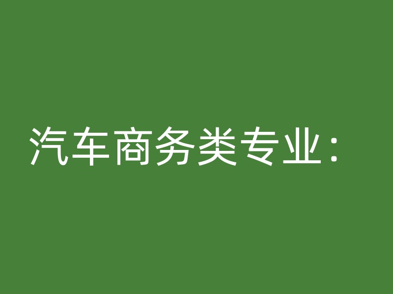 汽车商务类专业：