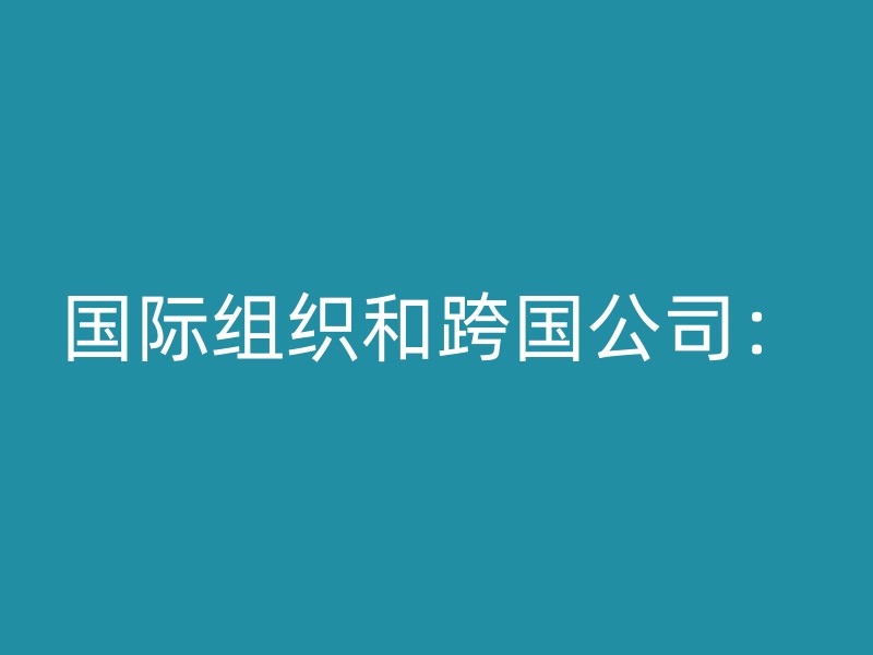 国际组织和跨国公司：