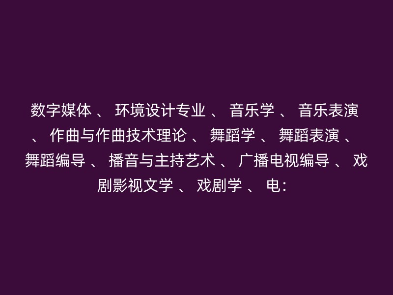 数字媒体 、 环境设计专业 、 音乐学 、 音乐表演 、 作曲与作曲技术理论 、 舞蹈学 、 舞蹈表演 、 舞蹈编导 、 播音与主持艺术 、 广播电视编导 、 戏剧影视文学 、 戏剧学 、 电：