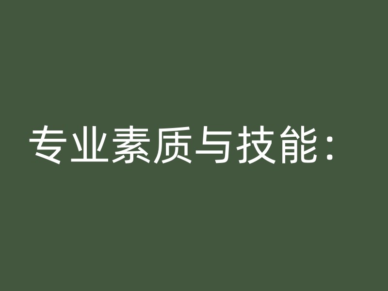 专业素质与技能：