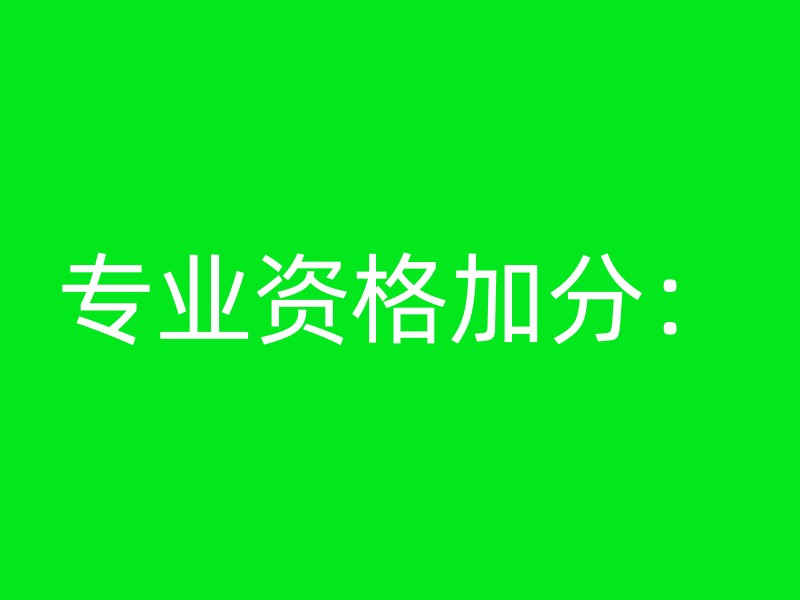 专业资格加分：