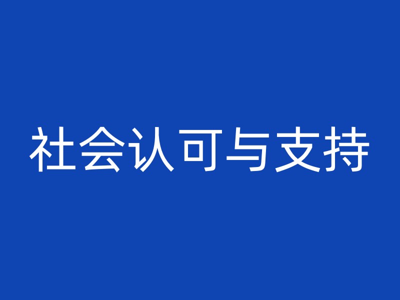 社会认可与支持