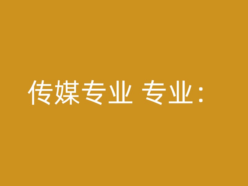 传媒专业 专业：