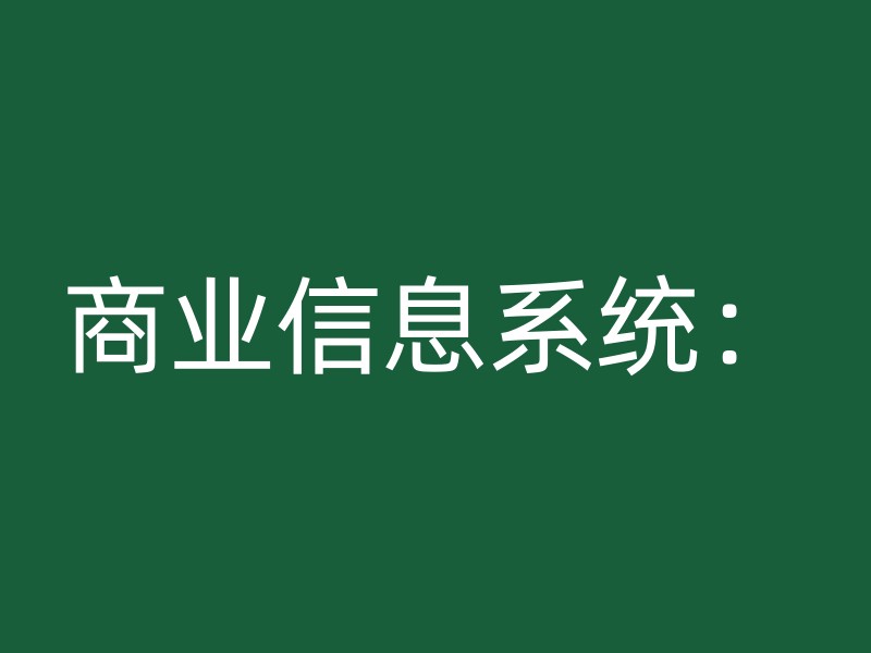 商业信息系统：