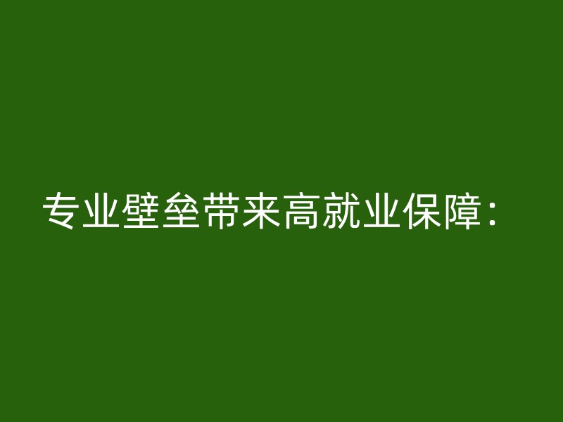 专业壁垒带来高就业保障：