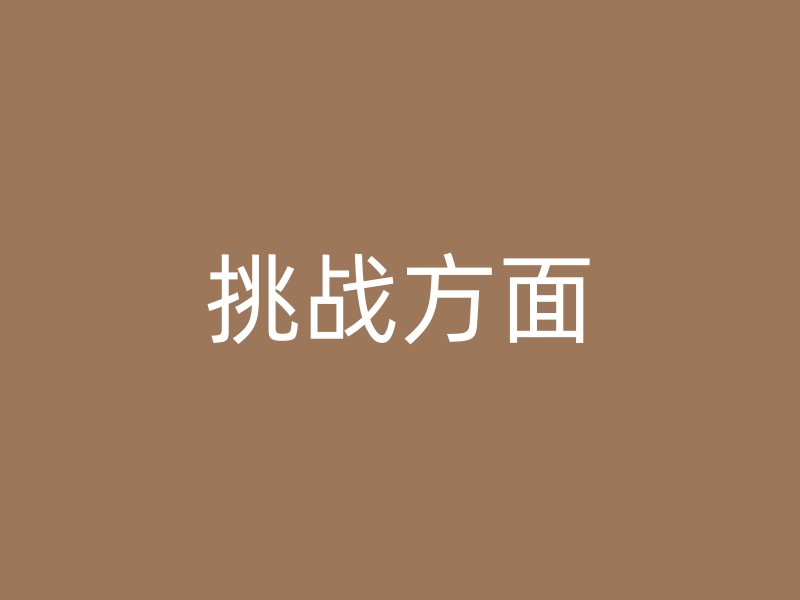 挑战方面