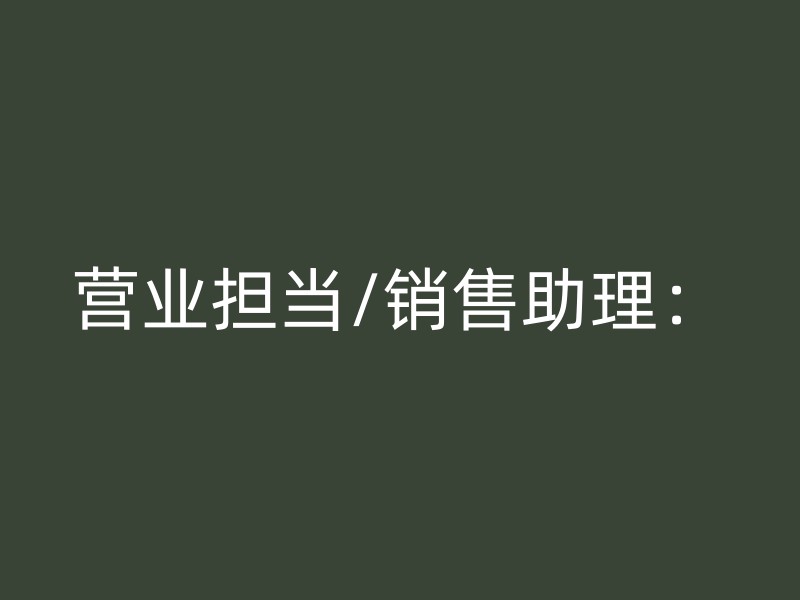 营业担当/销售助理：