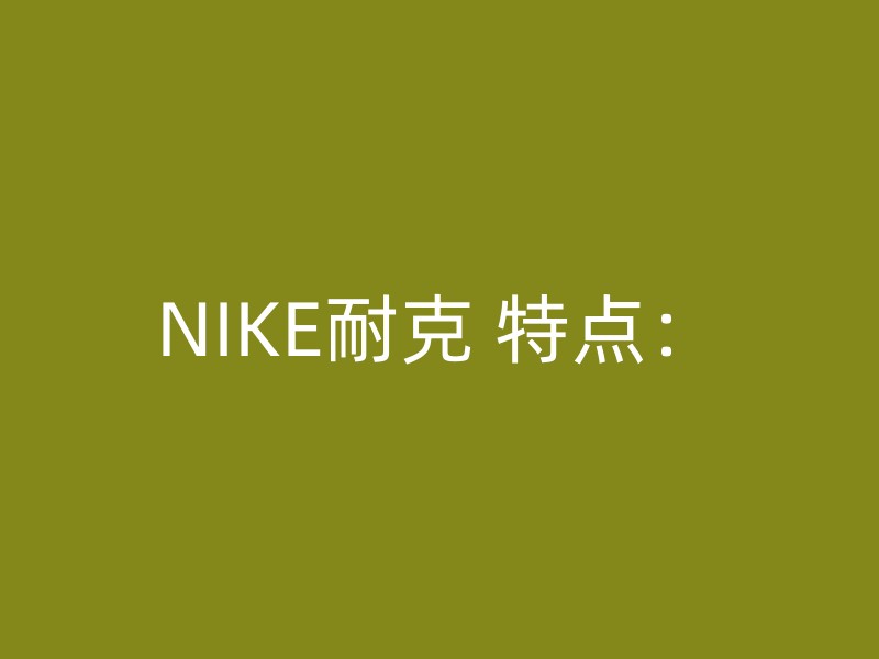 NIKE耐克 特点：