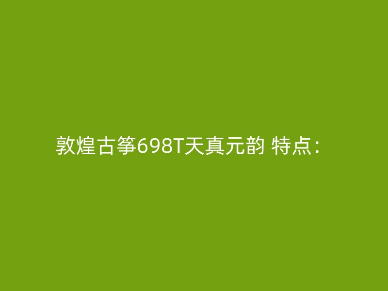 敦煌古筝698T天真元韵 特点：