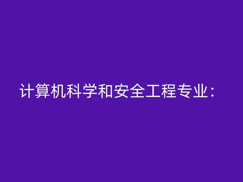 计算机科学和安全工程专业：