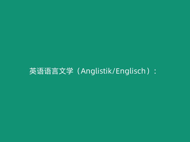 英语语言文学（Anglistik/Englisch）：