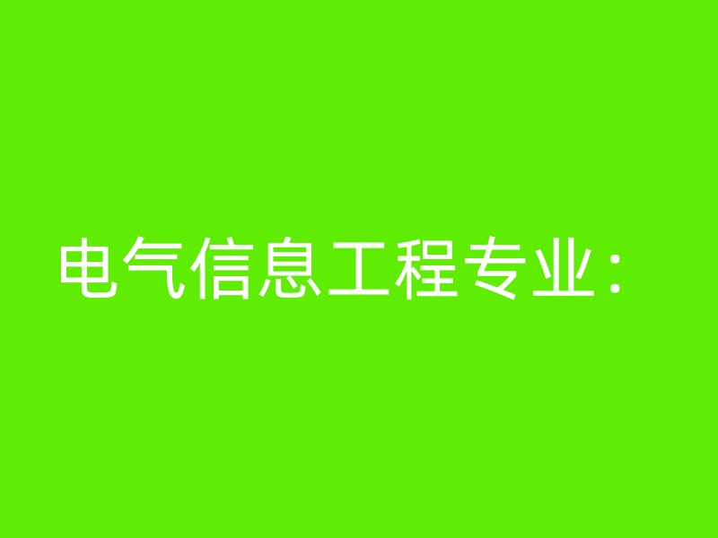 电气信息工程专业：