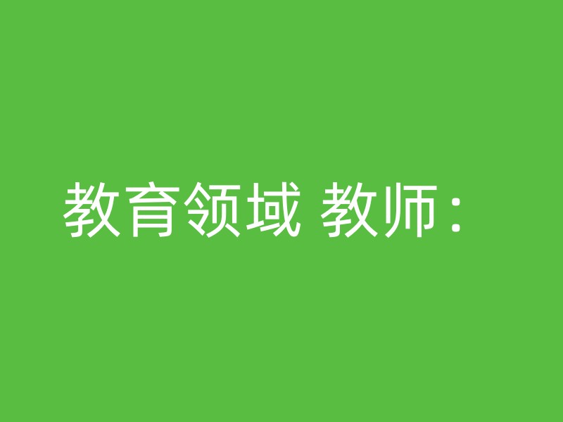 教育领域 教师：