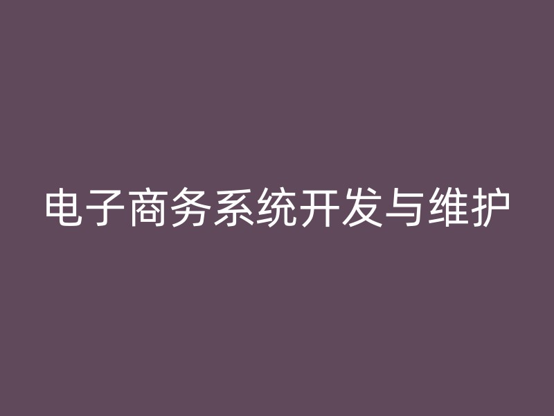 电子商务系统开发与维护