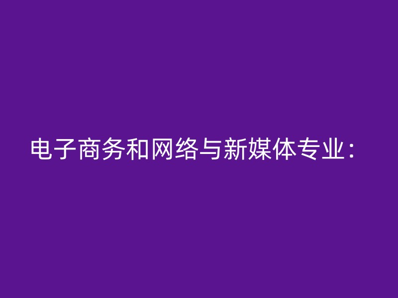 电子商务和网络与新媒体专业：