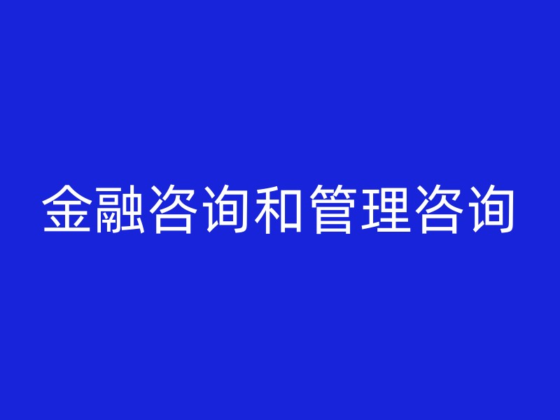 金融咨询和管理咨询