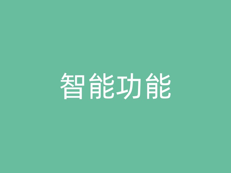 智能功能