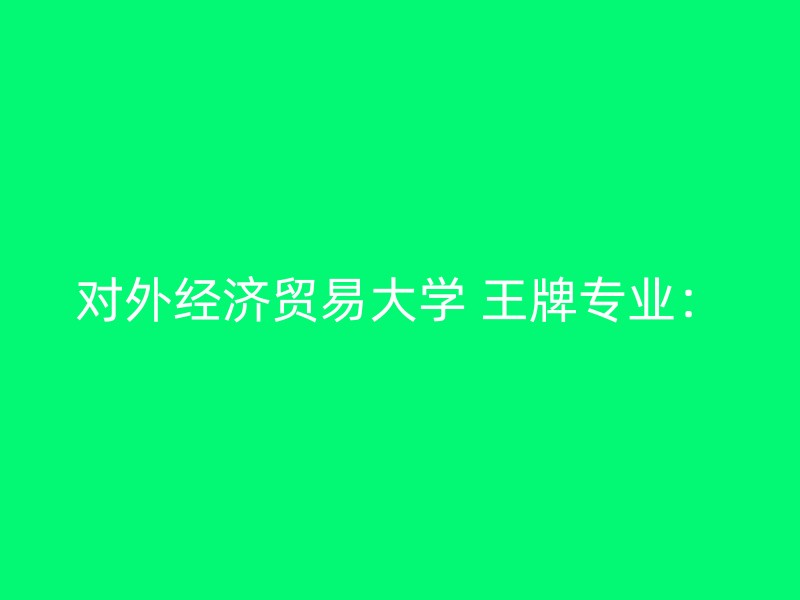 对外经济贸易大学 王牌专业：