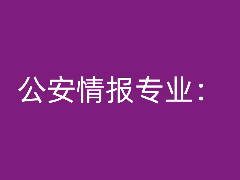 公安情报专业：