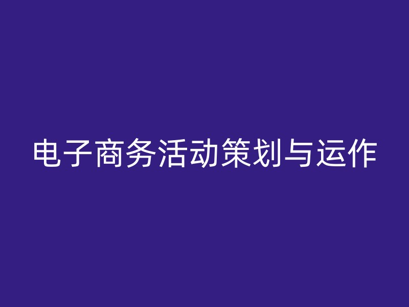 电子商务活动策划与运作