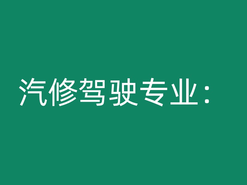 汽修驾驶专业：