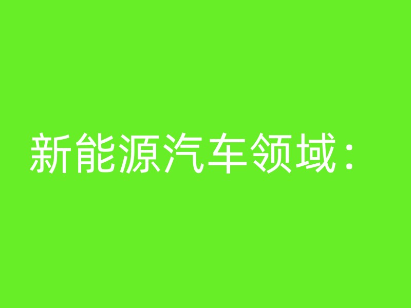 新能源汽车领域：