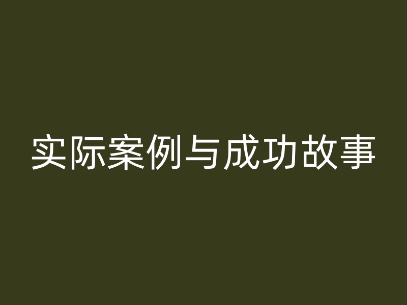 实际案例与成功故事