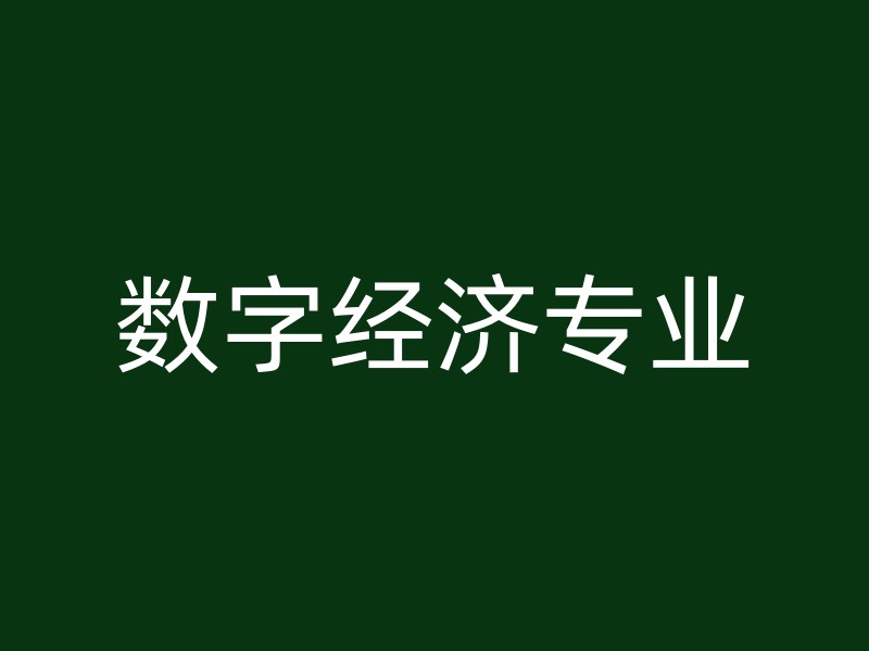 数字经济专业