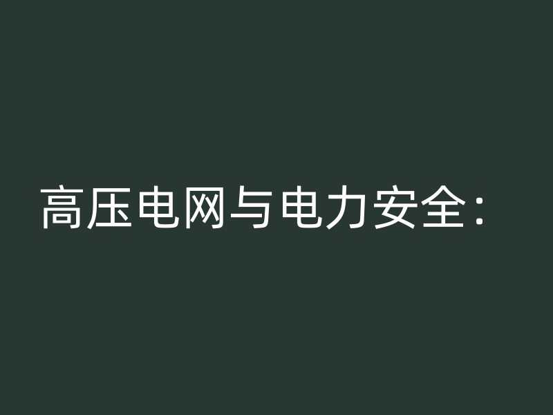 高压电网与电力安全：