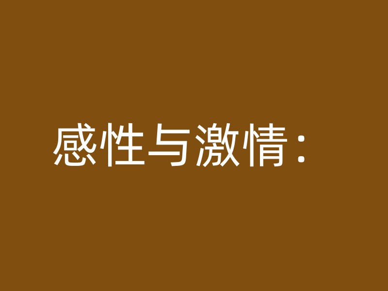 感性与激情：