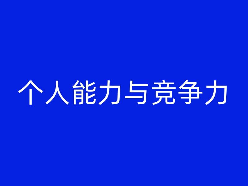 个人能力与竞争力