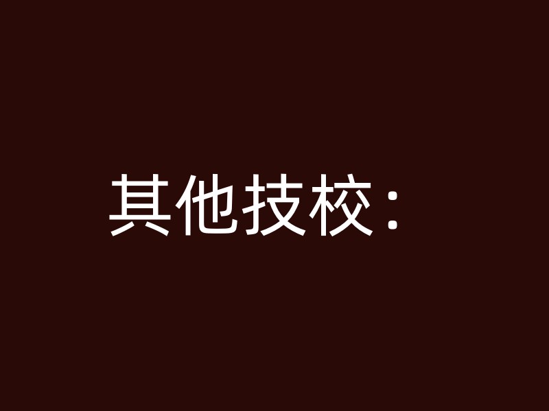 其他技校：