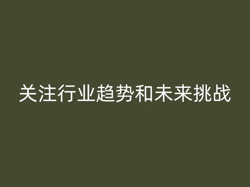 关注行业趋势和未来挑战