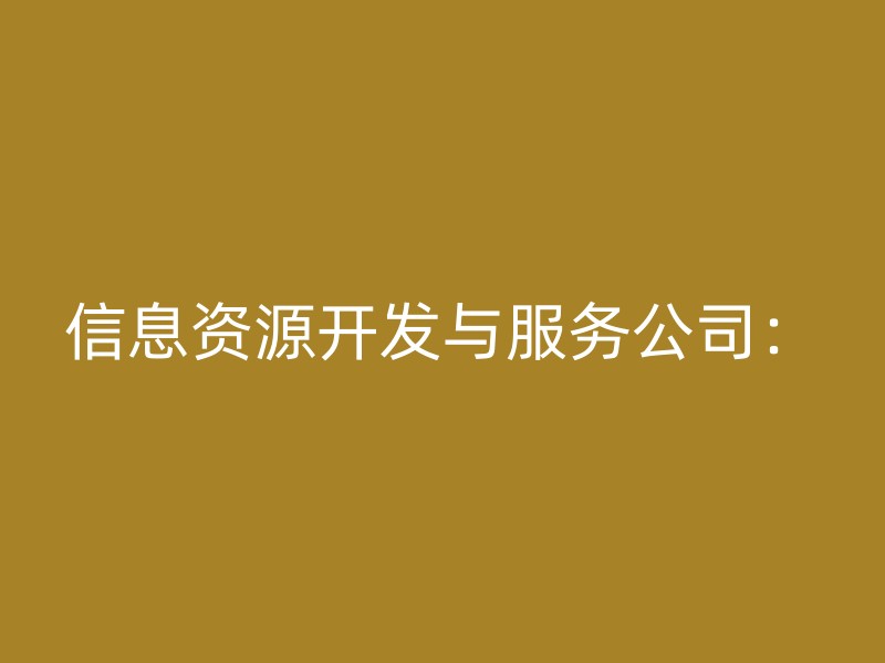 信息资源开发与服务公司：