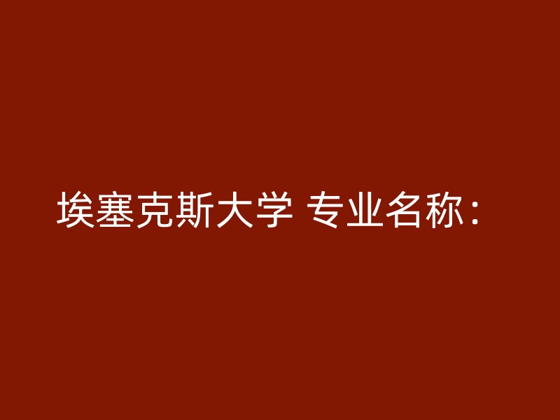 埃塞克斯大学 专业名称：