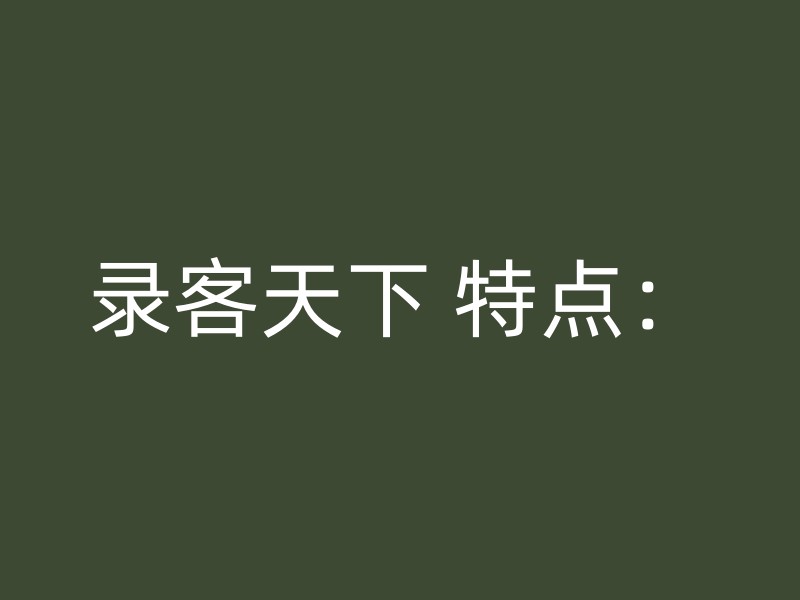 录客天下 特点：