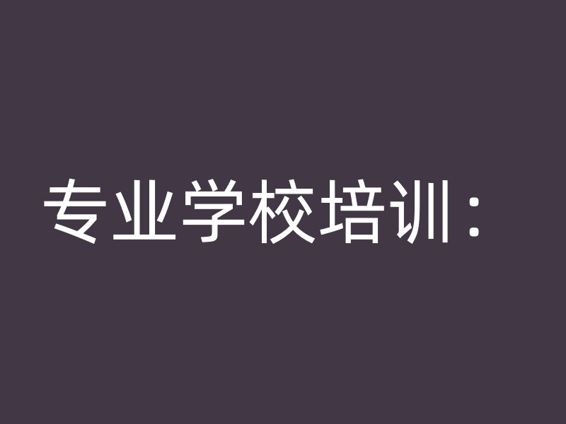 专业学校培训：