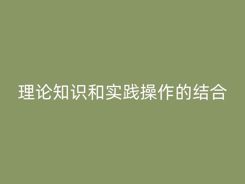 理论知识和实践操作的结合