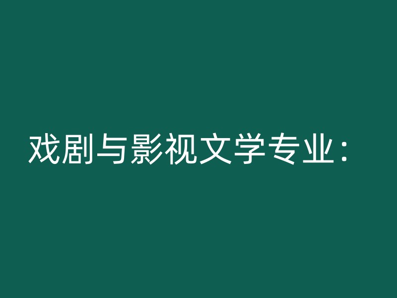 戏剧与影视文学专业：