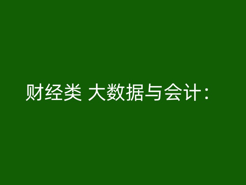 财经类 大数据与会计：