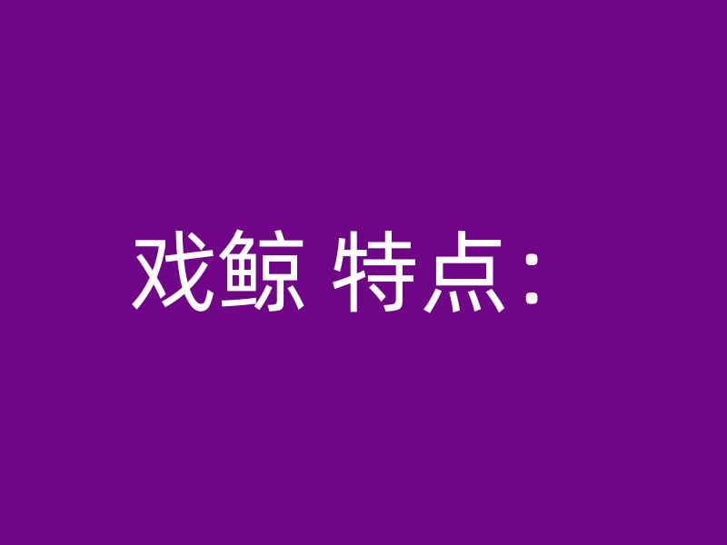 戏鲸 特点：