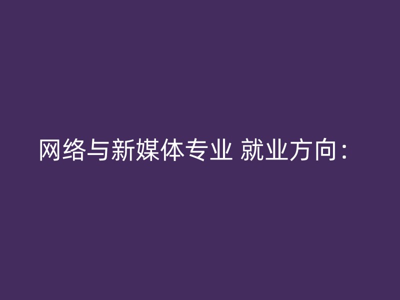 网络与新媒体专业 就业方向：