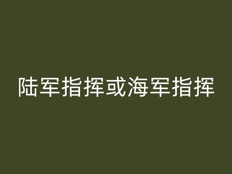 陆军指挥或海军指挥