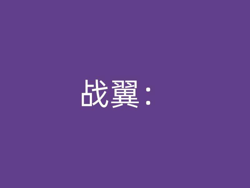 战翼：