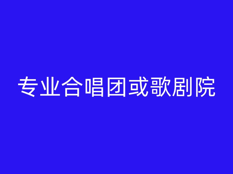 专业合唱团或歌剧院